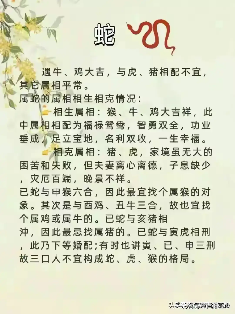 十二生肖夫妻配对表