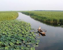 白洋淀景区