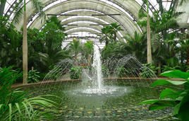 天津热带植物观光园