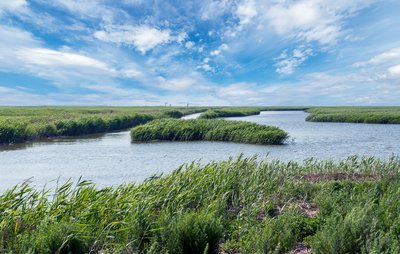 七里海国家湿地公园