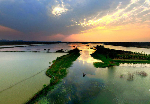 商丘著名书画家走进慈铭体检中心